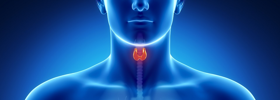 Leia mais sobre o artigo Endocrinologistas alertam para uso inadequado do lugol